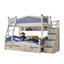 LIVARA 911 1.2M Bunk Bed w/ Two Free Mattresses Ladder Cabinet Trundle Bed - Blue&White