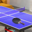 DHS HURRICANE-II Table Tennis Racket/ Ping Pong Racket Paddle