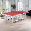 DOUBLE FISH 25MM 25mm White&Red Foldable Solo Play Indoor Table Tennis/Ping Pong Table - Bats Ball Net ITTF Approve