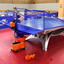DOUBLE FISH SPINIX DF G8 Double Rotor Driven Table Tennis Terving Machine-Orange